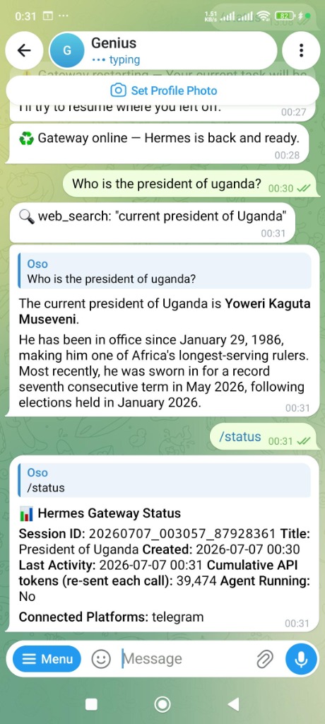 Hermes Agent: AI-Powered Telegram Bot - Screenshot 2